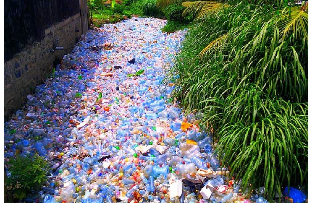 Plastic Water Bottle Pollution